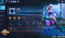 最新王者许愿爆料视频大全,揭秘最新英雄与活动前瞻